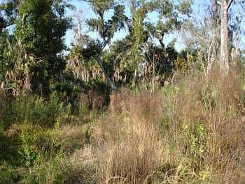 2nd image of 768 Big Oak Ln