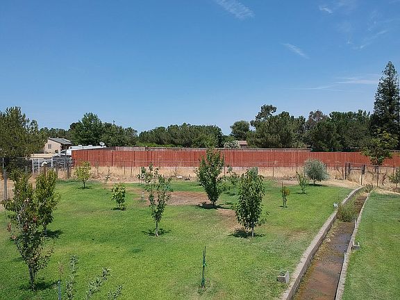 Orchard June 22,2019