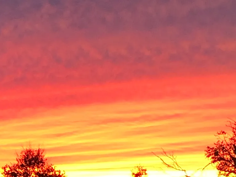 Amazing sunrises