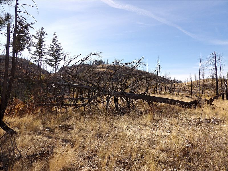 3rd image of 0 TBD Stillwater Hill Road