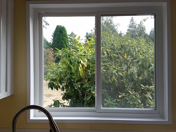 Kitchen window