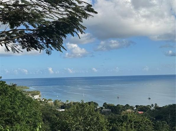 3 La Granja, Patillas, PR 00723