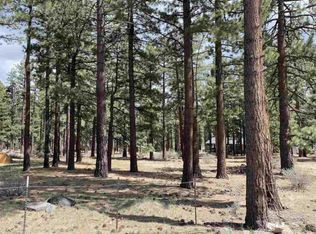 16275 Callahan Rd, Reno, NV 89511