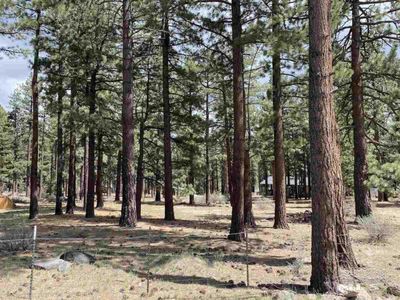 16275 Callahan Rd, Reno, NV, 89511
