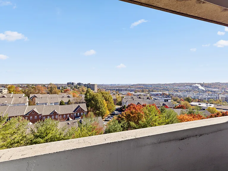 5911 Edsall Rd #1201 — Photo 6