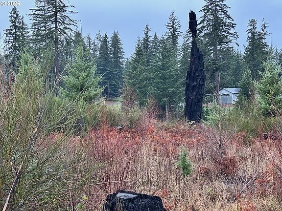 4th image of 0 S Shibley Rd