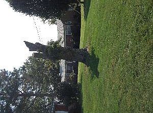4th image of 1104 James Dr