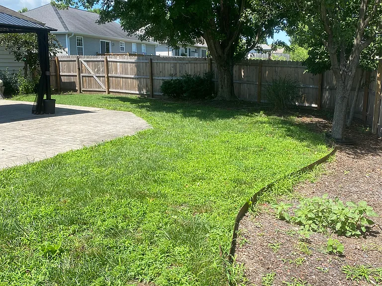 4108 Jungle Tree Dr — Photo 34