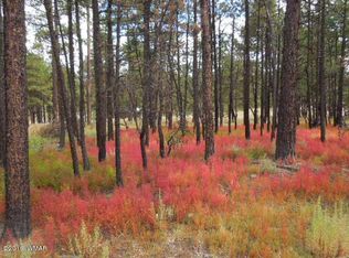 Tbd Cr 2115, Alpine, AZ 85920