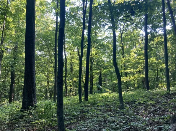 Neighborhood Rd, Gallipolis, OH 45631