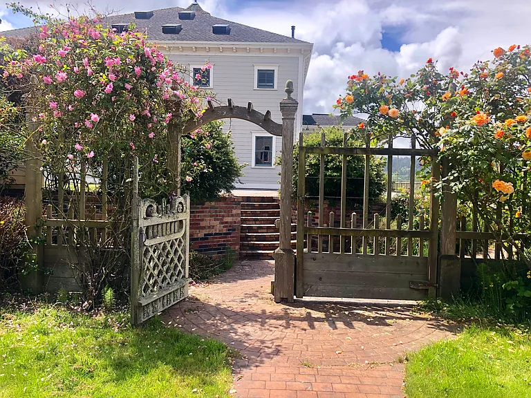 Visit our beautiful rustic park-like garden brimming with wildlife, rambling roses, Victorian-inspired hedges, trees, and perennial plants. While many species bloom off and on year-round come in May and June for our best display of roses.