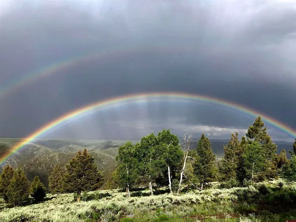 386 Mosquito Trail, Powderhorn, CO 81243