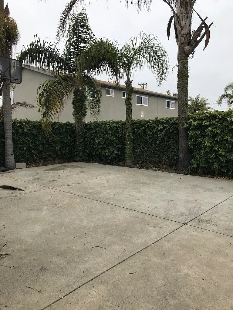 6582 Trigo — Photo 4