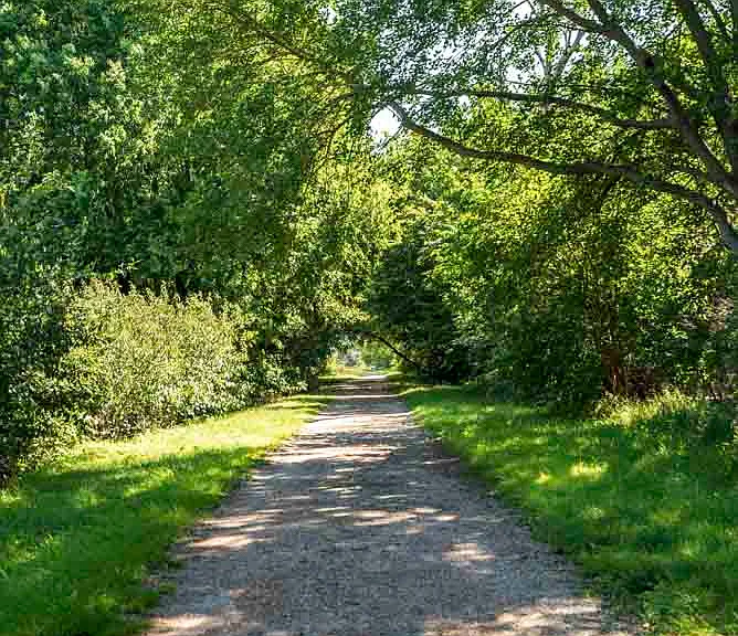 Residents love the access to the city trail next to our community. It's perfect for a jog or walk with your dog!