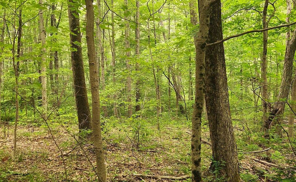 19 Country Knolls Ln, Mahopac, NY 10541 MLS 11212577 Zillow