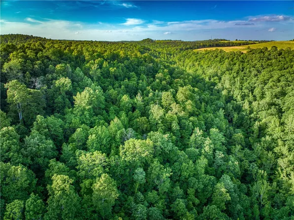 Tbd, Witts Springs, AR 72686