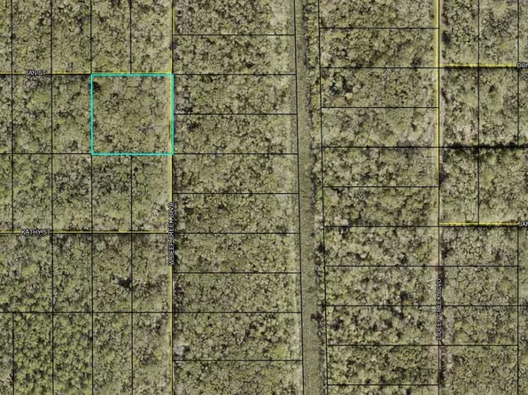 W Deep Creek Blvd, Hastings, FL 32145