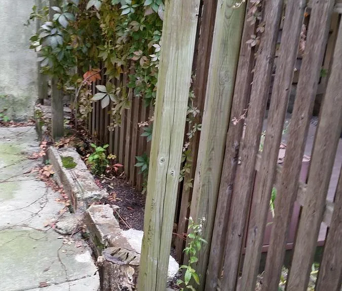 Private Backyard Area