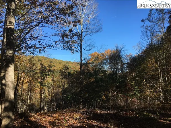 TBD Lot 10 Arborway Drive Drive, Todd, NC 28684