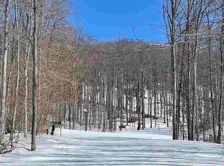 328 Pleasant Ridge Dr, Harbor Springs, MI 49740