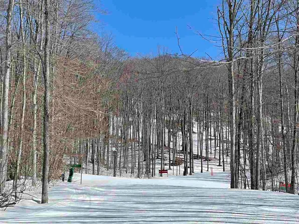 328 Pleasant Ridge Dr, Harbor Springs, MI 49740