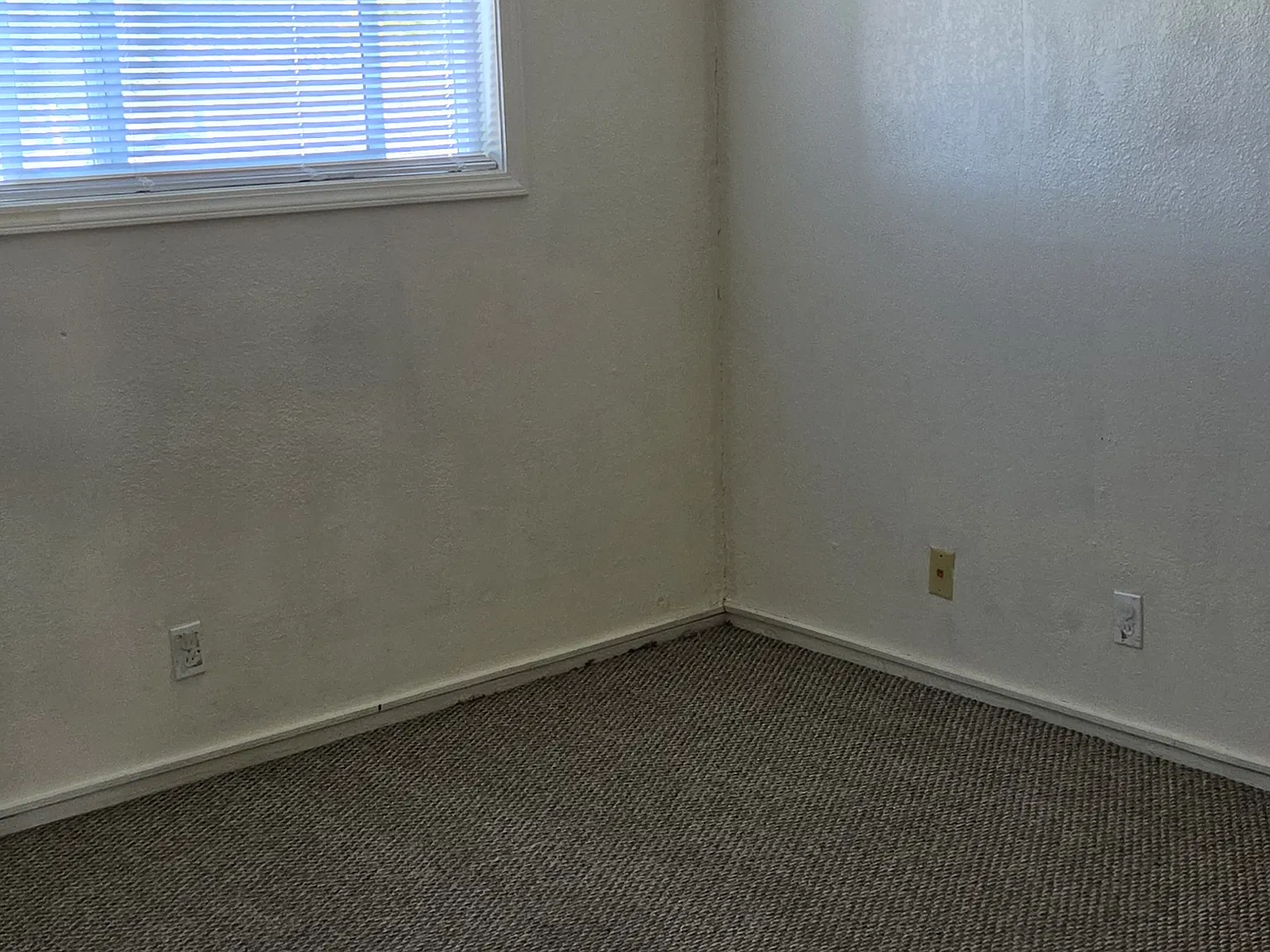 2 bed, 800 sqft, $2,250 — Photo 4