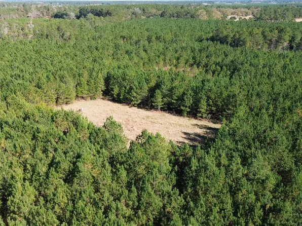 0 Wee Tee Rd, Andrews, SC 29510