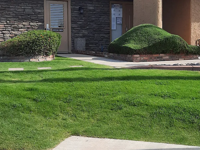 3511 E Baseline Rd #1068 — Photo 5