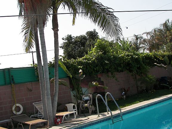 newly replasterd pool