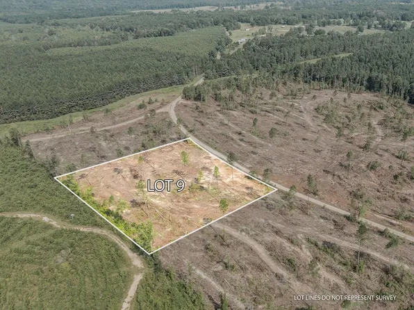 9 Lucas Hollow Rd, Mount Olive, MS 39119