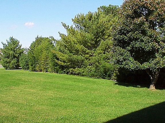 View from Front Door