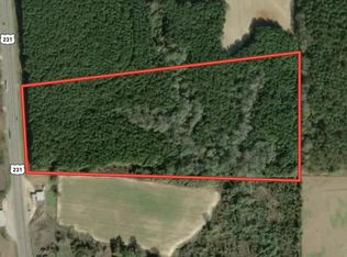 0 Us Hwy 231 South, BRUNDIDGE, AL 36010