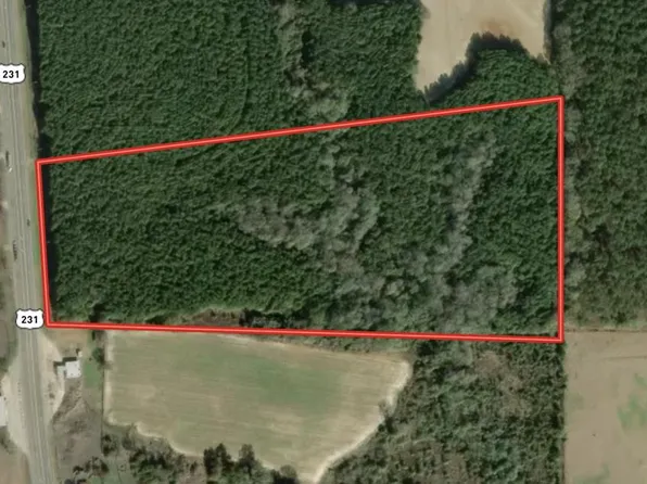 0 Us Hwy 231 South, Brundidge, AL 36010