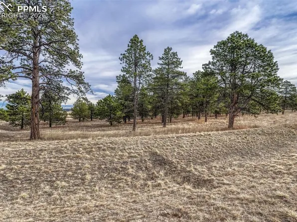 16511 Early Light Dr, Colorado Springs, CO 80908