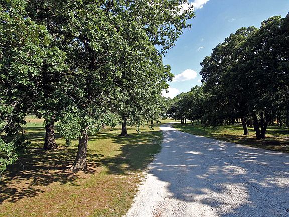 Driveway view leading in