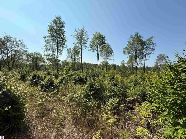 PARCEL Three E Kasson Rd #A-a3, Maple City, MI 49664