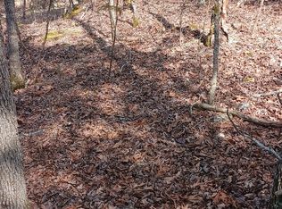 Blk3 Lot25 Elmwood Ave., Theodosia, MO 65761