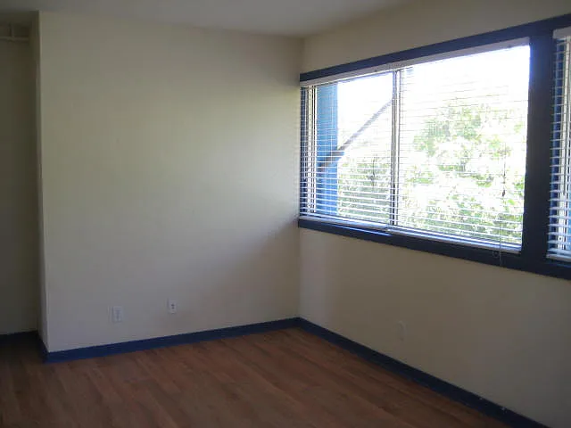 2908 Channing Way #313 — Photo 4