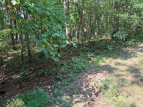 3rd image of Cowpens Dr