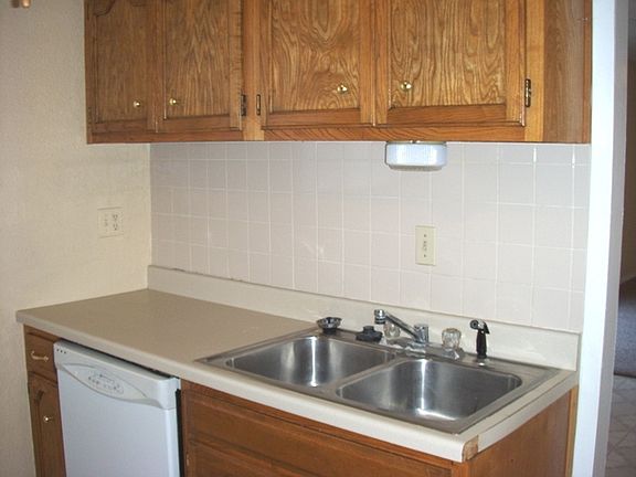 stainless steel sink, dishwasher