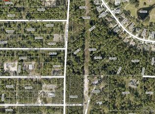 Chase Ct LOT 39, Mount Dora, FL 32757
