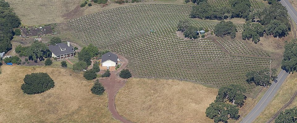 Toucan Wines and Vineyard