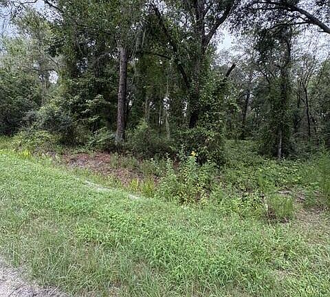 3rd image of 10335 HENNESSEY Avenue