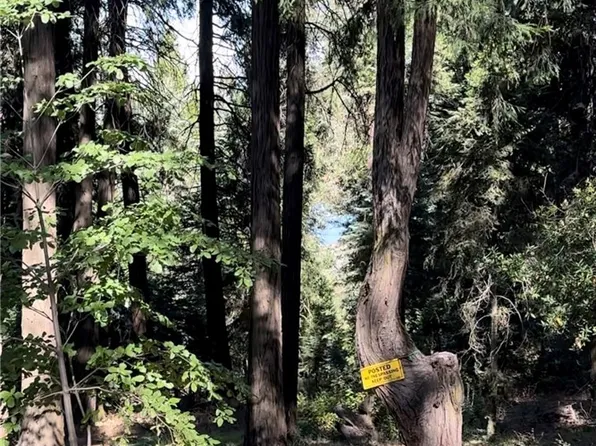 0 Jobs Peak Rd #25, Cedarpines Park, CA 92322