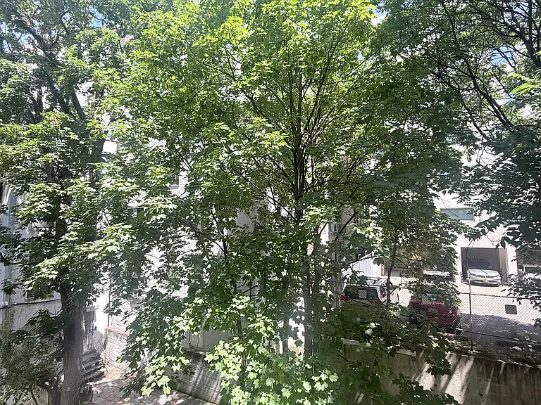 555 W 152nd St #3B — Photo 8
