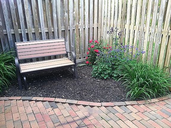 Dog- Friendly Back Yard