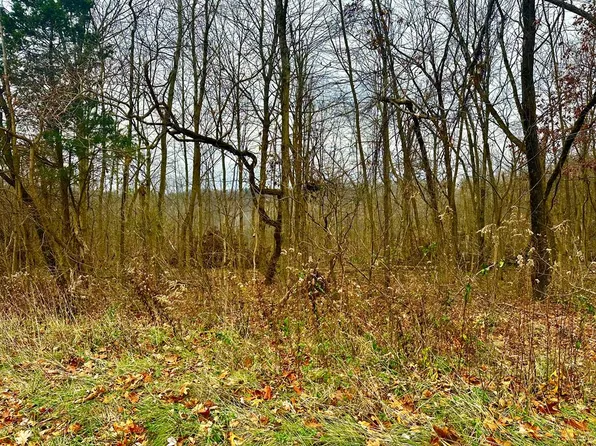 560 Landrum Rd, Bainbridge, OH 45612