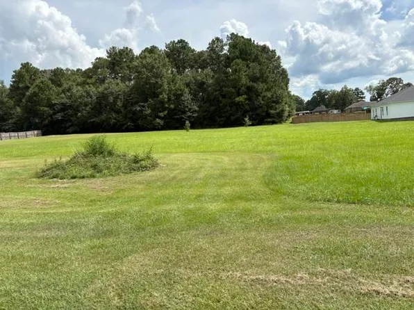 E Gunter Ave, Opp, AL 36467