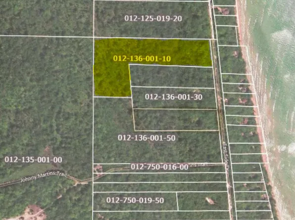 E Side Dr, Beaver Island, MI 49782