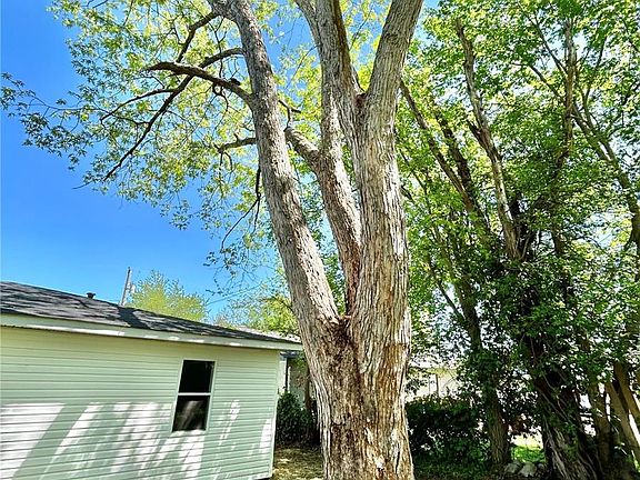 5th image of 805 E Ellis St